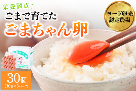 ゴマで育てた「ごまちゃん卵」30個｜栄養満点 赤玉 胡麻 鶏卵 たまご タマゴ ヨード卵光 認定 越川養鶏園 袖ケ浦 房総 千葉 [0713]