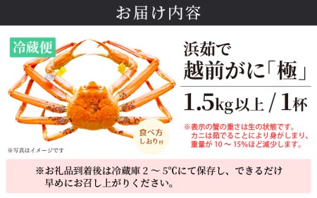 越前がに本場の越前町からお届け！越前がに極 浜茹で×1杯（生で1.5kg以上）【かに カニ 蟹】【3月発送分】 [e14-x012_03] 食べ方しおり付 福井県 雄 ズワイガニ ボイル 冷蔵 越前が