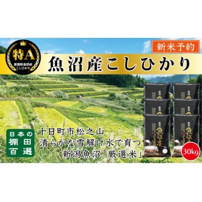 ふるさと納税 十日町市 【令和7年産新米先行予約】 日本棚田百選のお米 天空の里・魚沼産こしひかり　5kg×6