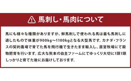 鮮馬刺し 赤身 ユッケ 10個 セット 約500g