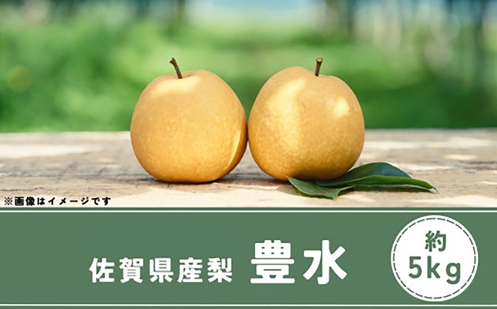 
                  【2026年発送分 先行予約】佐賀県産 梨（豊水）5.0㎏ / 佐賀県 /佐賀県農業協同組合　さが風土館季楽直販本店  [41AABE115]
                