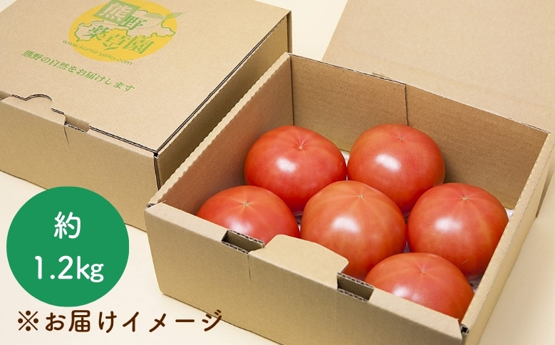 【先行受付 2024年12月以降配送】 熊野薬草園の大玉トマト（1.2㎏） トマト 大玉トマト 熊野 予約受付