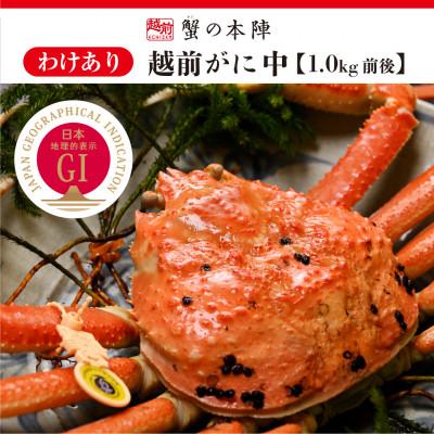 ふるさと納税 越前町 【わけあり】冬の日本海の味　浜茹で【越前がに　中　1.0kg前後】11月発送