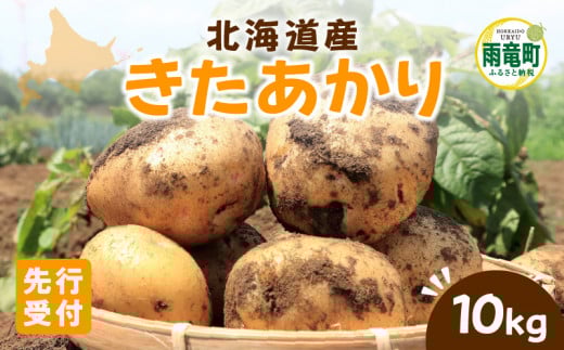 【令和7年産先行受付】北海道産 じゃがいも 「きたあかり」 S～LLサイズ10kg《9月より発送》