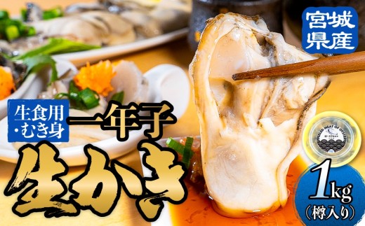宮城県産 生食用牡蠣 一年子生カキ むき身 1kg 生カキ かき カキ 剥き身 生牡蠣 生かき プリプリ 濃厚 貝 魚介 海鮮 新鮮 生食 9-10人前 カキフライ 牡蠣鍋 炊き込みご飯 宮城 石巻 宮城県 石巻市