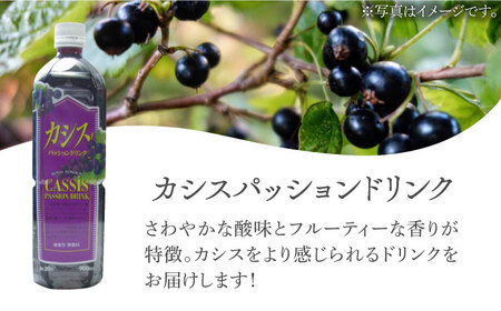 【全2回定期便】カシス パッション ドリンク 6本 セット《豊前市》【ハウスボトラーズ】果汁 ジュース 飲料（3ヶ月おきにお届け） [VAX018]