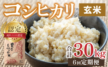 【令和7年産】【6ヶ月定期便】越前大野産 エコファーマー認定農家栽培こしひかり 玄米 5kg × 6回 計30kg [I-001001_02]