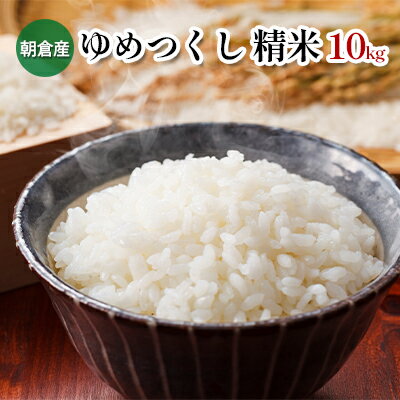 【ふるさと納税】米 10kg 精米 ゆめつくし お米 福岡県産