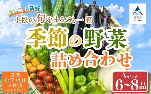季節の野菜詰め合わせ Aセット 野菜食べ比べ 旬の野菜 野菜セット | 石川県 小松市【Kacchan.Farm】