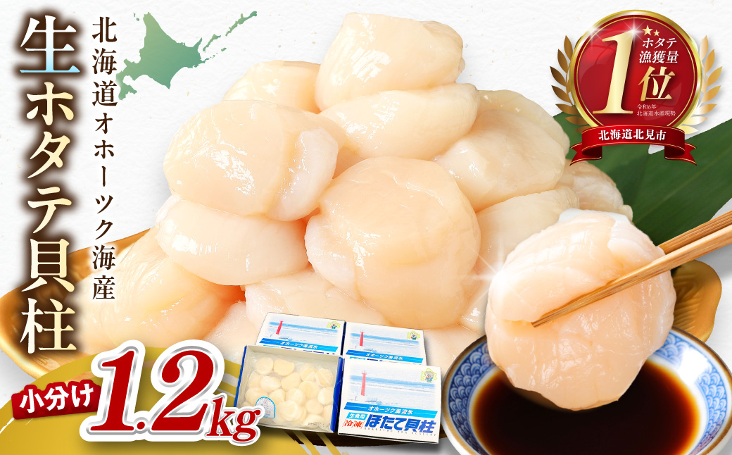 【予約：2026年6月から順次発送】北海道オホーツク海産 ホタテ貝柱 1.2kg 生食用 ( 海鮮 魚介 魚介類 貝 ほたて 刺身 貝柱 海鮮丼 贈答 ギフト 小分け 帆立貝柱 人気 ふるさと納税 ホタテ )【037-0021】