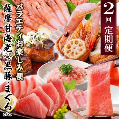 ふるさと納税 枕崎市 定期便2回配送　お楽しみバラエティ定期便(鹿児島県産黒豚・鮪etc) DD-6008
