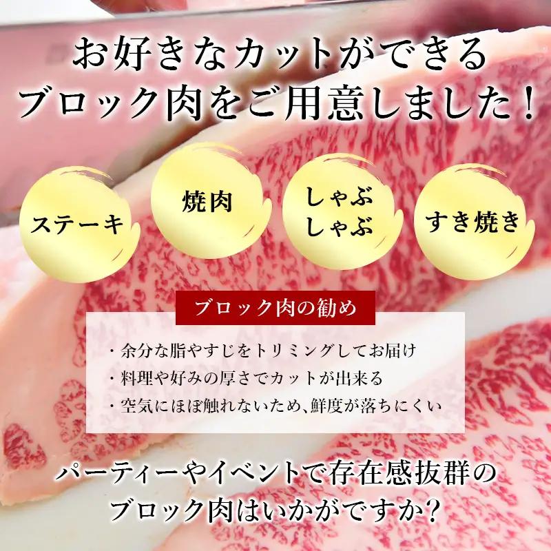 《プロシリーズ》佐賀牛 最上位部位ロースブロック500g ステーキ
