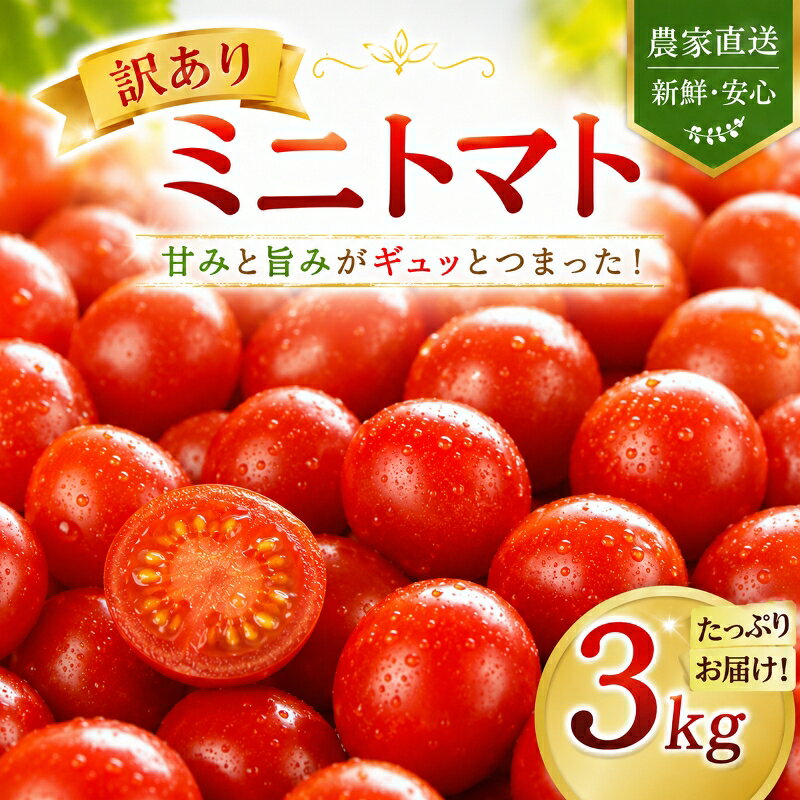【ふるさと納税】 先行予約 訳あり ミニトマト 3kg 家庭用 自宅用 不揃い サンゴ ミネラル 愛菜 野菜 肥料 ウルとま®TYみわく 肥料 サンゴ肥料 カルシウム タカミヤの愛菜 株式会社タカミヤ 埼玉県 羽生市