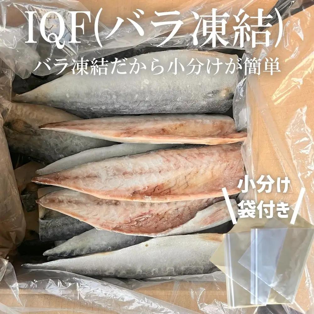 さば 金華サバ 半身13枚 無塩 鯖