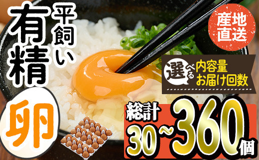 
＜内容量とお届け回数が選べる＞産直・平飼い有精卵 (総計30-360個・1回・3回・6回・12回)卵 玉子 卵かけご飯 玉子焼き 平飼い 鶏 鶏卵 養鶏場直送 朝採れ 新鮮 大分県 佐伯市 【HM01・HM02・HM03・HM04・HM05】【佐伯養鶏場】
