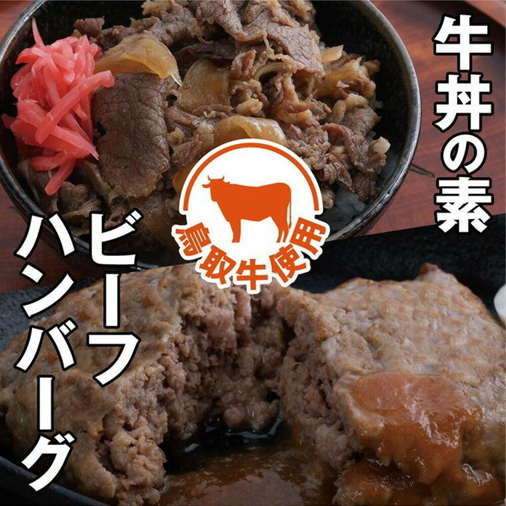 【ふるさと納税】とりちく牛丼の素・鳥取ビーフハンバーグ詰め合わせ | 鳥取 牛丼 ハンバーグ レトルト 冷凍 湯せん 国産 加工品 惣菜 送料無料 鳥取県 鳥取市