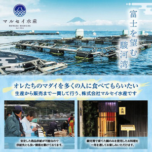 真鯛 詰め合わせ 6品 ごま茶漬け 干物 鯛しゃぶ 刺し身 みそ しゃぶしゃぶ 真鯛