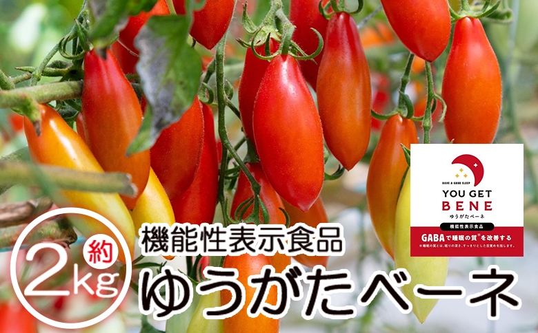 
            【2025年12月以降順次配送】機能性表示食品 ミニトマト ゆうがたベーネ 2kg - ミニトマト プチトマト フルーツトマト ギフト のし対応 高糖度 お歳暮 御歳暮 贈答用 贈り物 is-0014
          