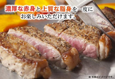 黒毛和牛サーロインステーキ 200g×3枚（牛肉 国産牛 黒毛和牛 宮崎和牛 サーロイン ステーキ 赤身 霜降り）