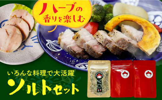 ハーブの香りを楽しむソルトセット 長崎県/Hitotema [42ABAN001] 調味料 スパイス ハーブ ソルト セット