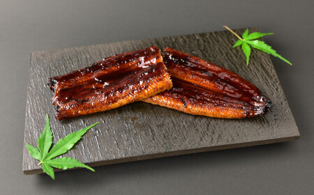 国産うなぎの長焼き 1/2尾×2パック(1尾分) 鰻 たれ 肉厚 岐阜市 / 本格炭焼うな吉[ANHH004]