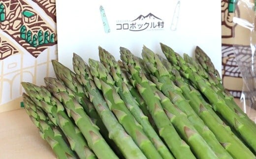 
            【北海道赤井川村】夏採りアスパラ
          