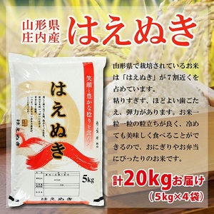 SF0363　令和7年産 【精米】 はえぬき 20kg(5kg×4袋) AK