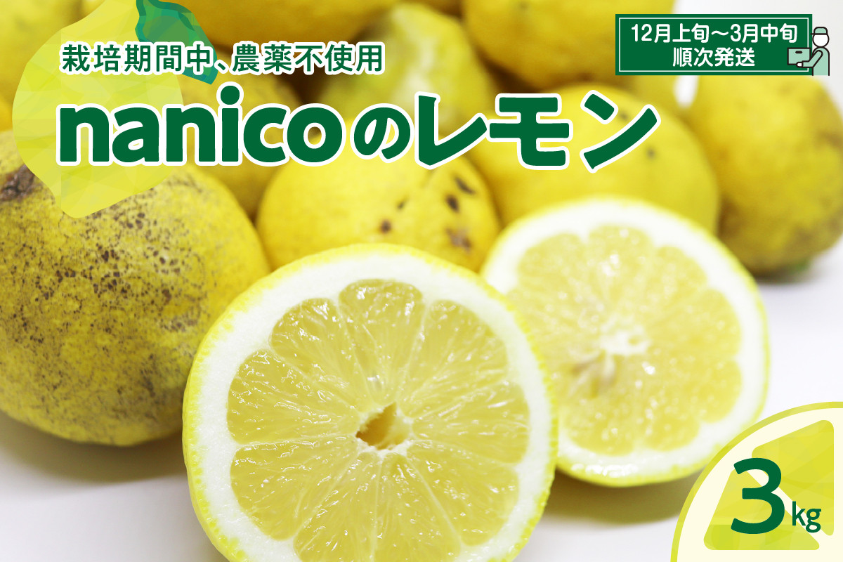 
【先行受付】ナニコノレモン 3kg　広島県産 瀬戸内 檸檬 レモン 果物 柑橘 フルーツ グリーンレモン イエローレモン 産地直送 送料無料 常温配送 広島県 呉市

