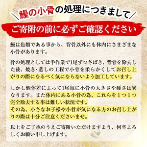 里山牛ハンバーグ＆きざみうなぎセット (総計680g以上) うなぎ 鰻 ウナギ 蒲焼き 真空パック うな丼 鰻重 牛 牛肉 鹿児島県産 国産 ハンバーグ 100% b0-188