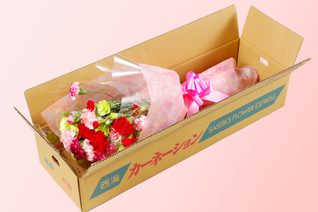 母の日 ギフト カーネーション 花束 生花 切花 22本 母の日 前日にお届け 産地直送 高級 プレゼント 【西九州させぼ地域商社 & 黒髪カーネーション】 カーネーション カーネーション 切り花 切