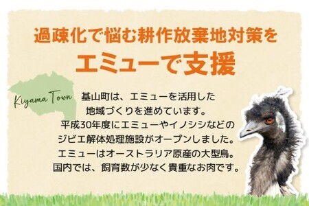 エミューステーキ 150g×4枚【エミュー 基山産 高タンパク 高鉄分 低カロリー ヘルシー ジビエ ステーキ 貴重肉 鉄分補給】 A6-F006003