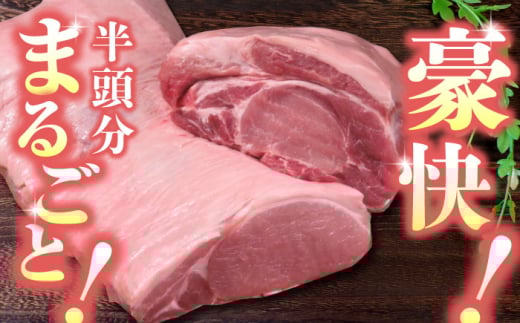 豚帝 リブ ロース & ロース ブロック (半頭分) 約5kg【KRAZY MEAT(小田畜産)】 [ZCP009]