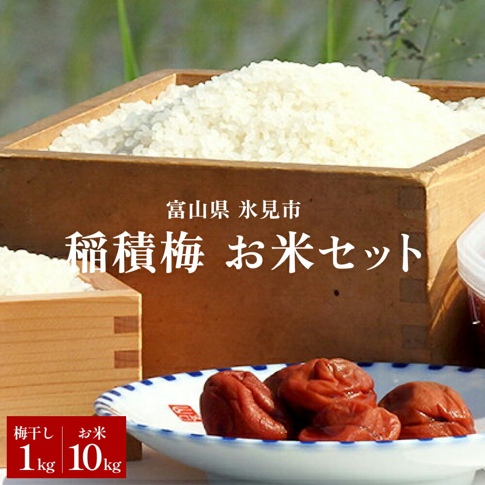 【ふるさと納税】越中伝統梅干し 氷見稲積梅(1kg) とお米(10kg)セット ｜ 富山県固有種 稲積梅 添加物不使用 手作り