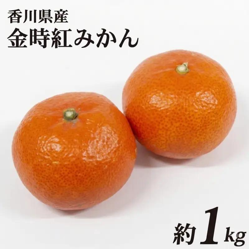 【11月中旬~12月下旬の間で順次発送予定】金時紅みかん 約1kg