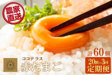 【3ヵ月定期便】ココテラスの明日（赤たまご）15個 + 5個保証（計20個）【JGAP認証】 農家直送 新鮮 卵 タマゴ 赤卵 玉子 鶏卵 朝食 夕食 夜食 朝ごはん たまご焼き オムレツ 卵ご飯 料理 濃厚 飼料にこだわった 卵かけご飯 米たまご 生卵 大容量 お取り寄せ 愛知県 常滑市