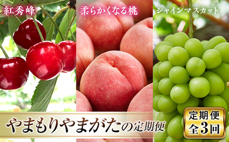 《先行予約 2026年発送》やまもりやまがたの定期便～ FSY-2329