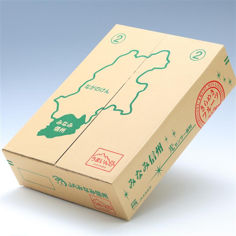 【南信州産】サンつがる 約5kg 秀品 <2026年8月下旬～順次発送> ＪＡみなみ信州ＤＭセンター飯田市