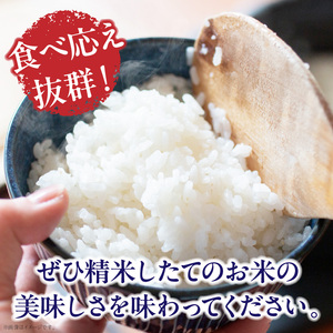 生駒高山育ちの　ヒノヒカリ米5kg(生産者　上武猛)　令和7年産　奈良県生駒産 お米 米 精米 白米 ごはん おにぎり 白ご飯 おすすめ お取り寄せ ライス 備蓄米 精米したて 小粒 品種 自然水 安