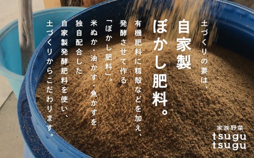 さつまいも おやつ 野菜【農薬・化学肥料不使用】ねっとり甘〜い おいもさん（紅はるか） ２.５kg