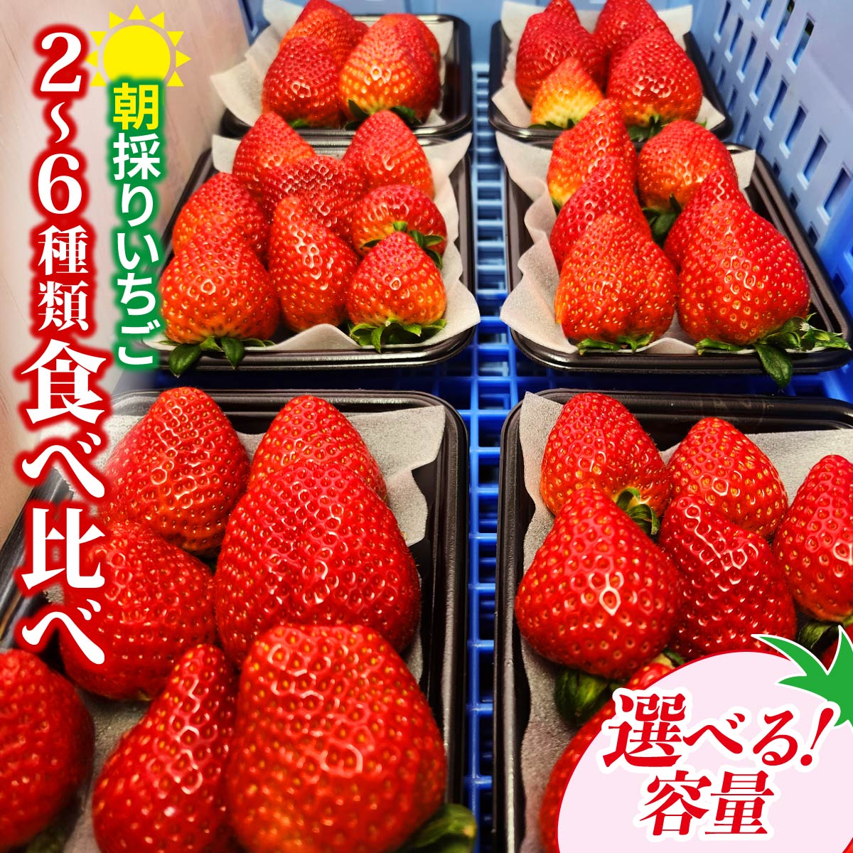 【ふるさと納税】いちご 食べ比べ 2～6種類 150gパック｜コク 甘み 朝採れ やよいひめ ななか 恋みのり あまおとめ あすかルビー 贈答用 新鮮 完熟 いちご 旬 苺 産地直送 果汁 甘い 人気 高評価 美容 健康 旨味 高糖度 ごほうび 群馬県 前橋市