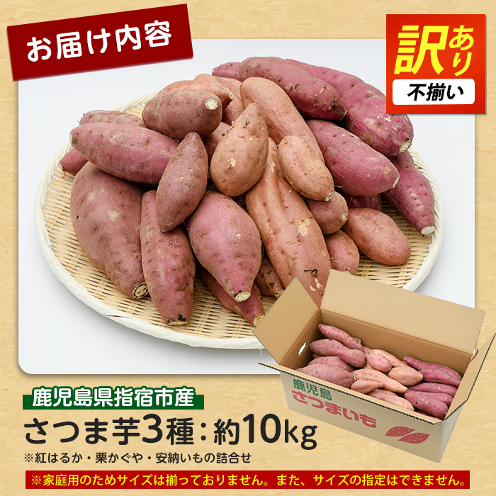 【2026年11月上旬以降～順次発送】＜訳あり・不揃い＞さつまいも3種(紅はるか・栗かぐや・安納芋)詰合せ約10kg(らくと農園/IB084-001) さつまいも おやつ さつま芋 焼芋 やきいも 焼きいも スイーツ