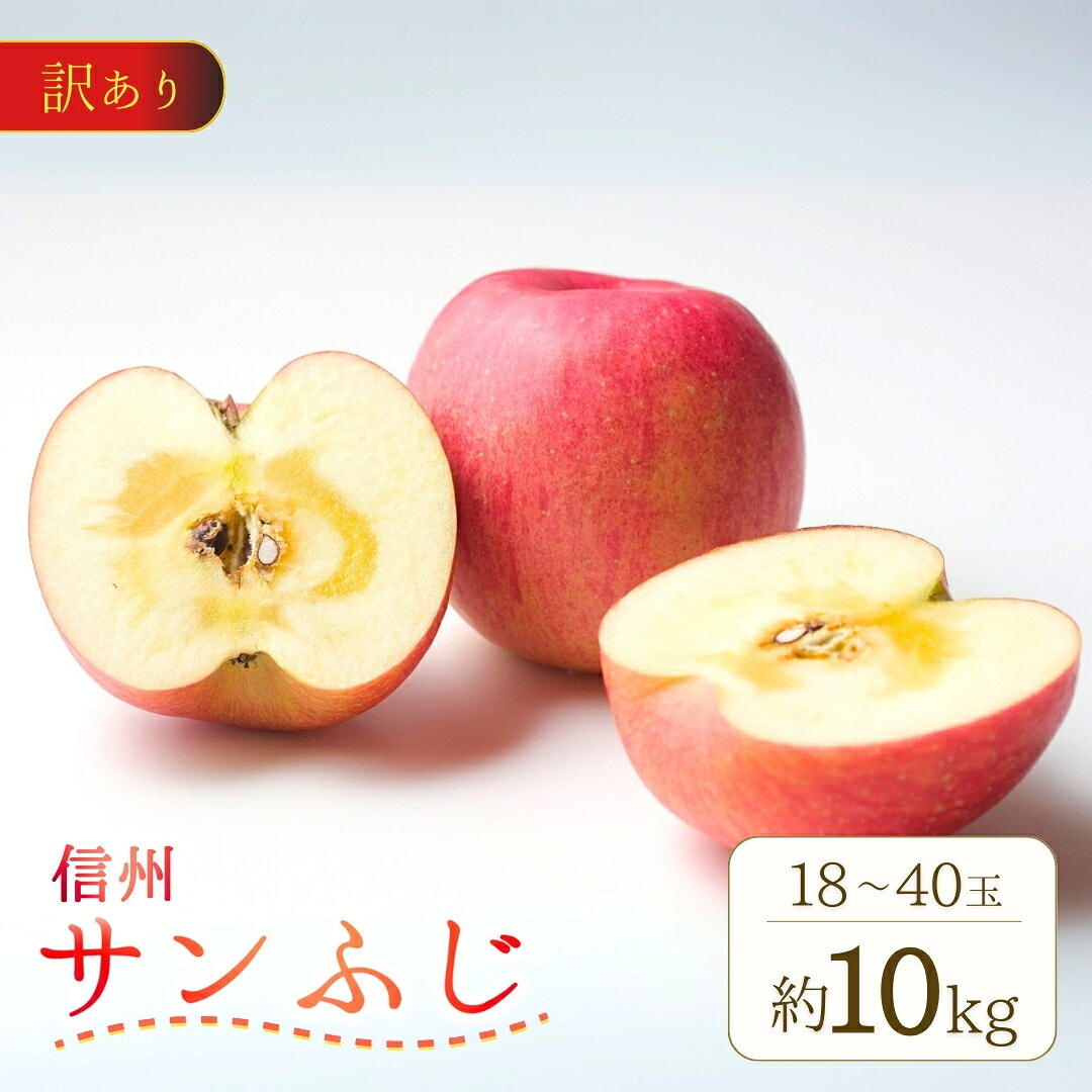 【ふるさと納税】【2026年先行予約】訳あり りんご サンふじ 約10kg (18~40玉) ｜ さんふじ フルーツ 果物 信州りんご 産地直送 千曲市 長野県産 信州