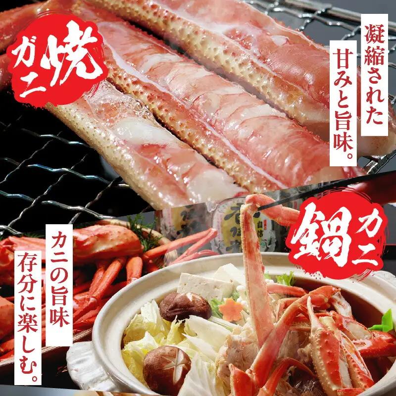 香住ガニ 調理済み 800g以上 【令和8年9月中旬以降発送予定】 かに カニ 07-36