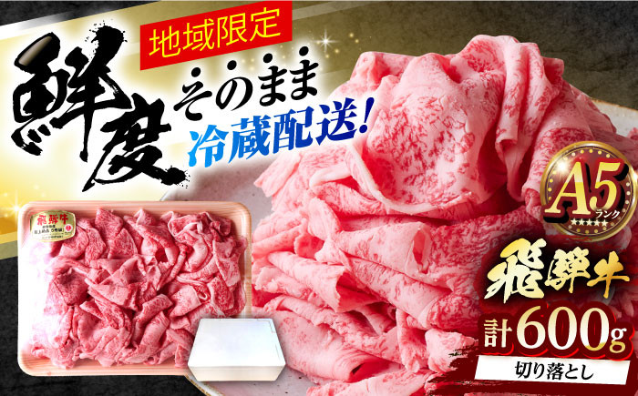 
            ※冷蔵配送/地域限定※ 飛騨牛 切落し (ロースまたは肩ロース) 600g 瑞浪市 / きなぁた瑞浪 和牛 国産 岐阜県産 切り落とし きりおとし 切落し 飛騨牛 牛肉 肉 バーベキュー BBQ 和牛 [AZCI029]
          