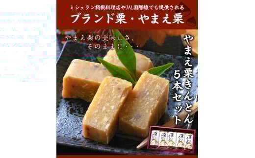熊本県山江村産 やまえ栗きんとん5本セット 有限会社 やまえ堂 《60日以内に出荷予定(土日祝除く)》栗きんとん 栗 くり