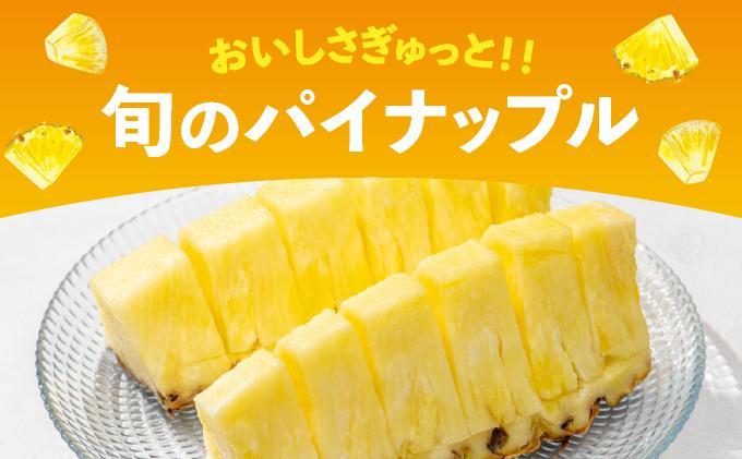 【訳あり】 石垣島産 パイナップル 詰め合わせ 約8kg (6～20個)《2026年4月下旬から発送》 | ふるさと納税 パイナップル 産地直送 フルーツ 果物 パイン 石垣 沖縄 沖縄県石垣市 石垣