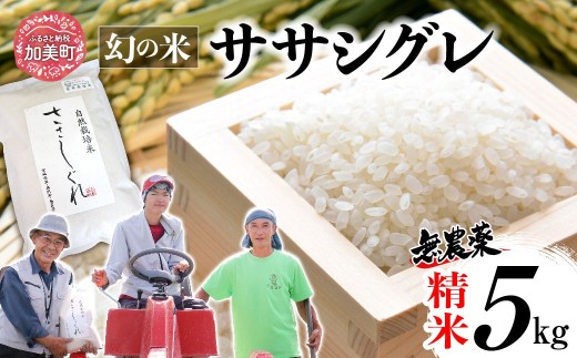 《 希少品種米 》  米 令和7年 宮城県産 ササシグレ ( 栽培期間中農薬・肥料不使用 ) 精米 白米 5kg ｜ 宮城県 加美町 無農薬 お米 こめ コメ ささしぐれ ササニシキ の 父 ｜ nt-ss05-r7