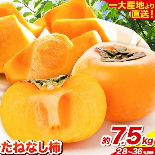 柿 たねなし柿 約7.5kg