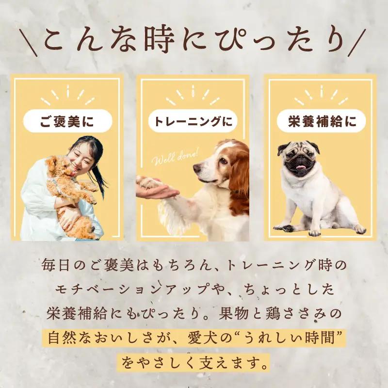 ペットフード 犬用おやつ ペットフード ドライフルーツ