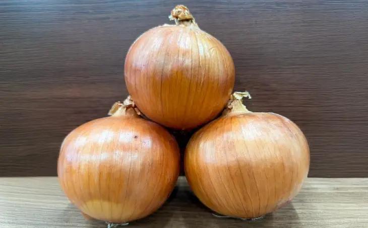 淡路島玉葱　5kg　◆配送５月中旬～翌年２月末頃